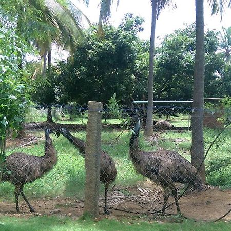 Mango Village Farm House Nelliyampathy 外观 照片